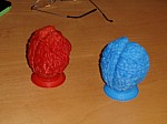 Sa-EinsteinBrain.jpg Sa-EinsteinBrain.jpg